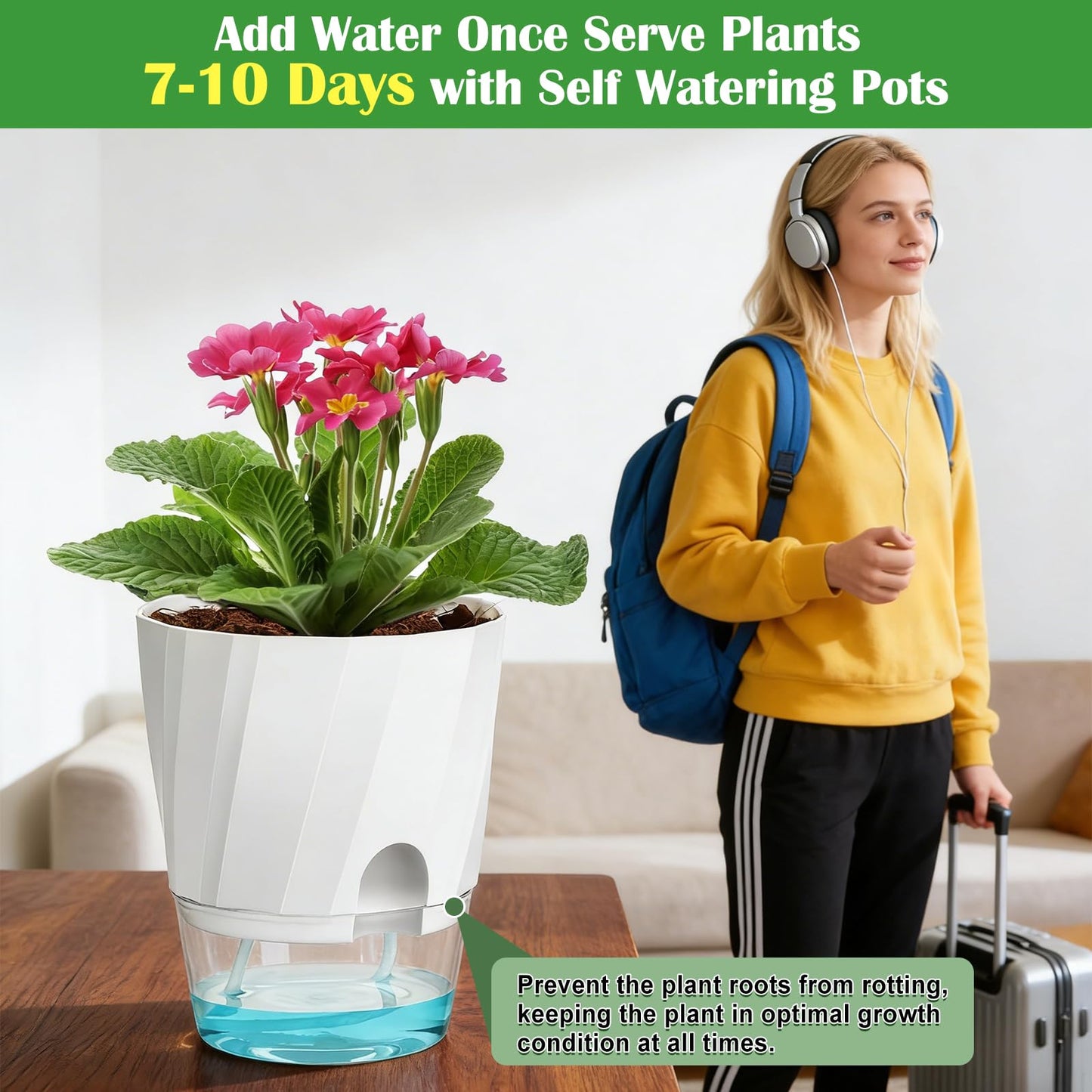 KIMCHOMERSE Self Watering Plant Pots, 6 Inch Plant Pots White, 3 Pack Flowers Pot Indoor Planter Pots with Tray for Spider Plant, Orchid, African Violet
