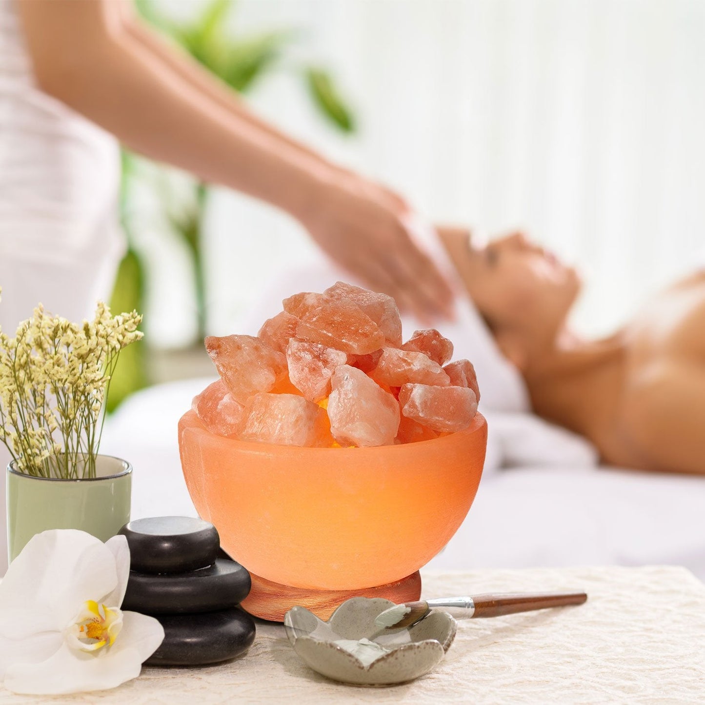 Himalayan Glow 1326 Natural Pink Salt Bowl Night Lamp with Crystal Salt Chunks