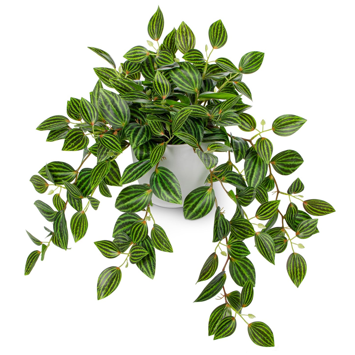 Briful Artificial Plants Indoor Fake Potted Silk Plants Faux Watermelon Peperomia Draping Plant for Home Office Bathroom Shelf Cabinet Tabletop Decoration(Green - 1 Pack)