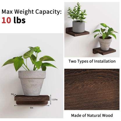 Fixwal Small Shelf for Wall, 5X5 Inches Floating Shelves Set of 4, Rustic Wood Small Wall Mounted Shelves for Bedroom, Living Room, Kitchen, Bathroom Decor (Dark Carbonized Black)