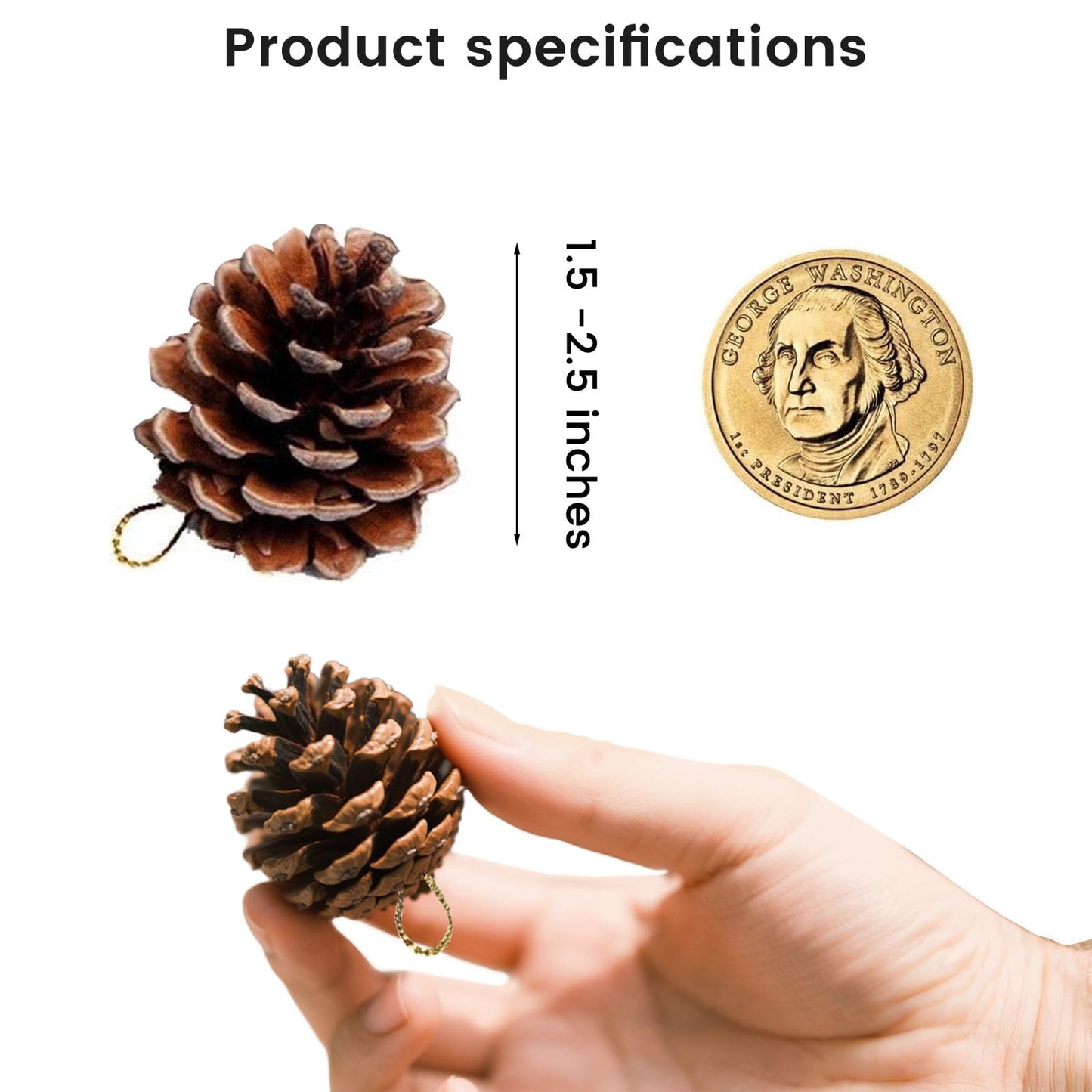 JOHOUSE 18PCS Hanging Natural Pine Cones (1.5"–2.5"), Rustic Pinecones with Strings for Fall Garland, Christmas Tree Ornaments, Wreath Making, Vase/Bowl Filler Winter Decor