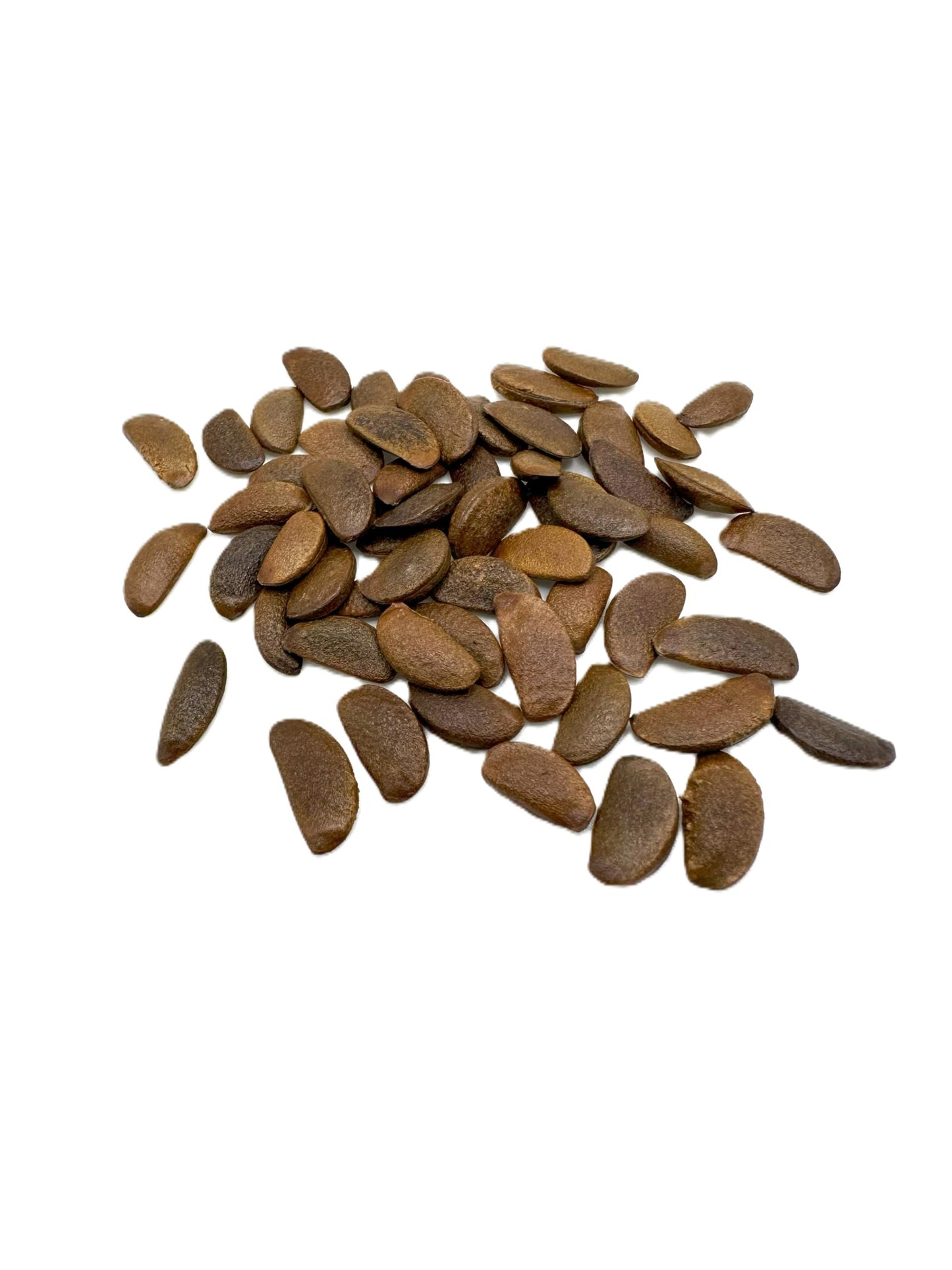 100 Pcs Persimmon Tree Seeds. Japanese Persimmon Fruit Tree Seeds for Planting. Exotic Fuyu Persimmon Seeds, Non-GMO Diospyros Kaki Seeds for Home Gardening