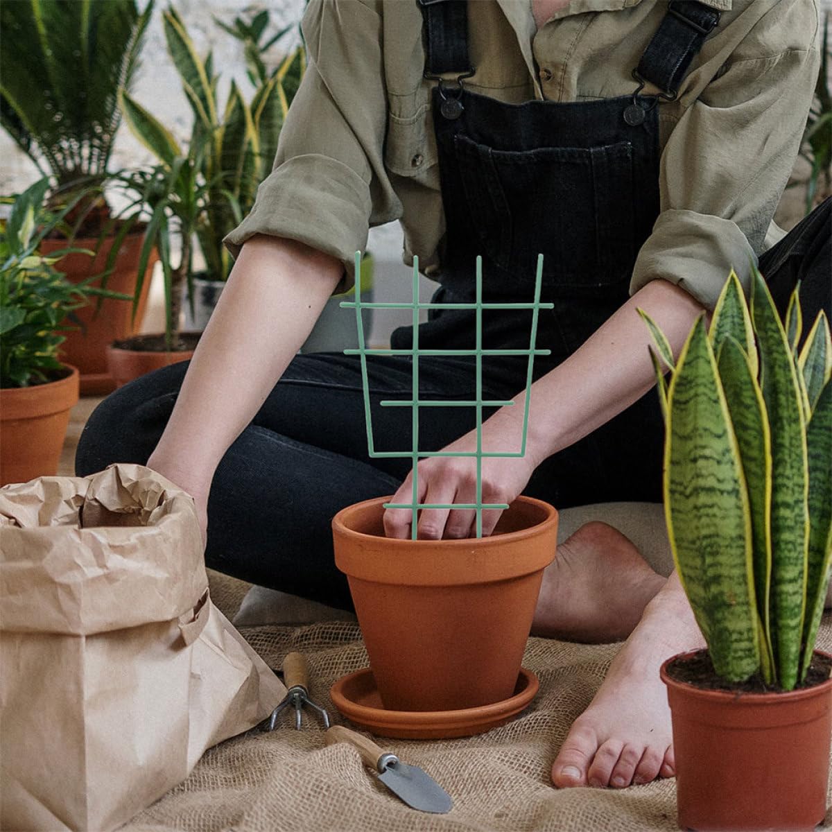 Toddmomy 4pcs Vine Plant Trellis for Pots Climbing Plants Holder Indoor Outdoor with Grid Design for Potted Vines and Flowers
