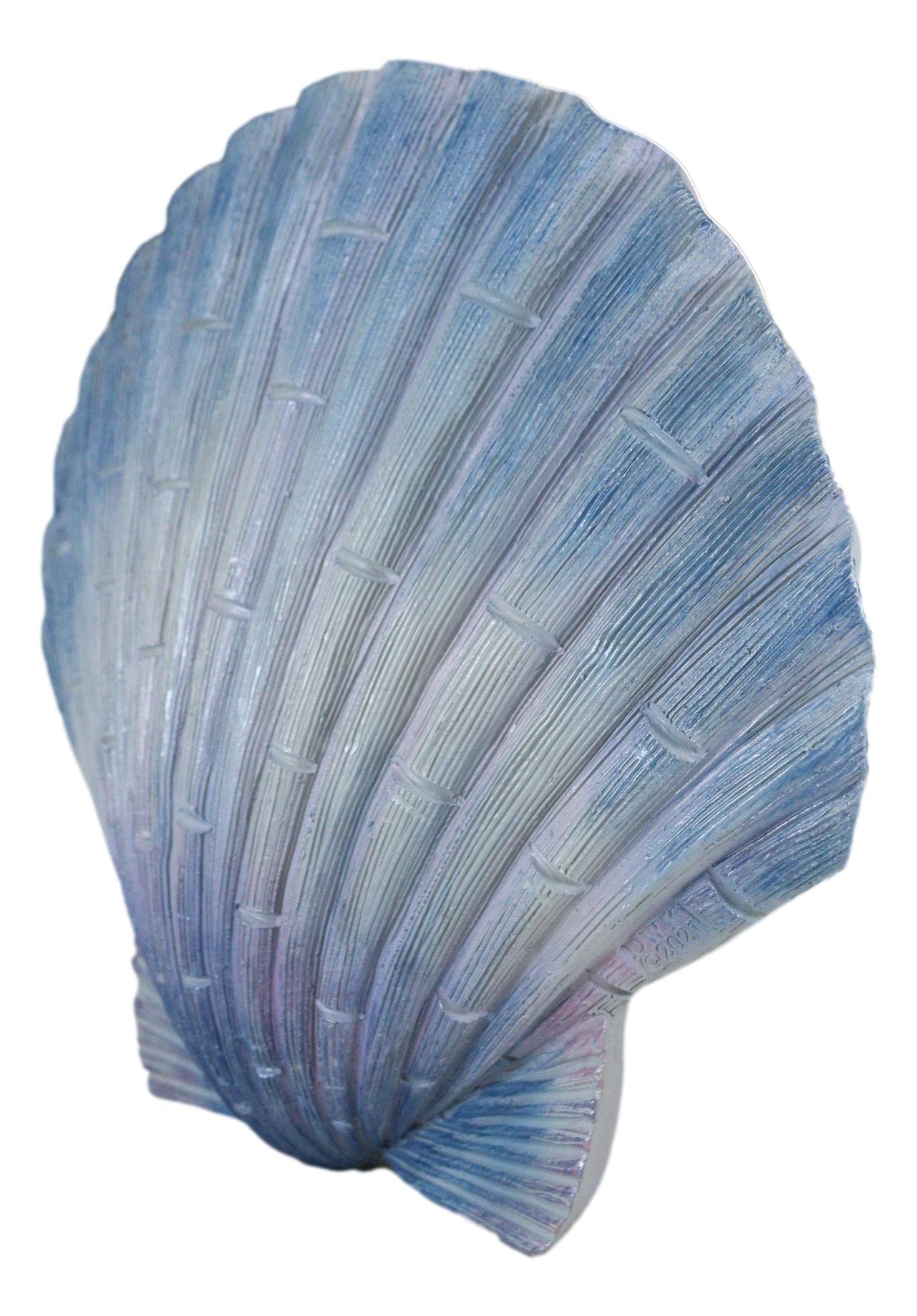 Ebros Gift Nautical Ocean Marine Life Aqua Blue Scallop Shell Seashell Exotic Shabby Chic Wall Decor Figurine 8.25" L Decorative Sculpture Vacation Beach Sea Home Prop Accent