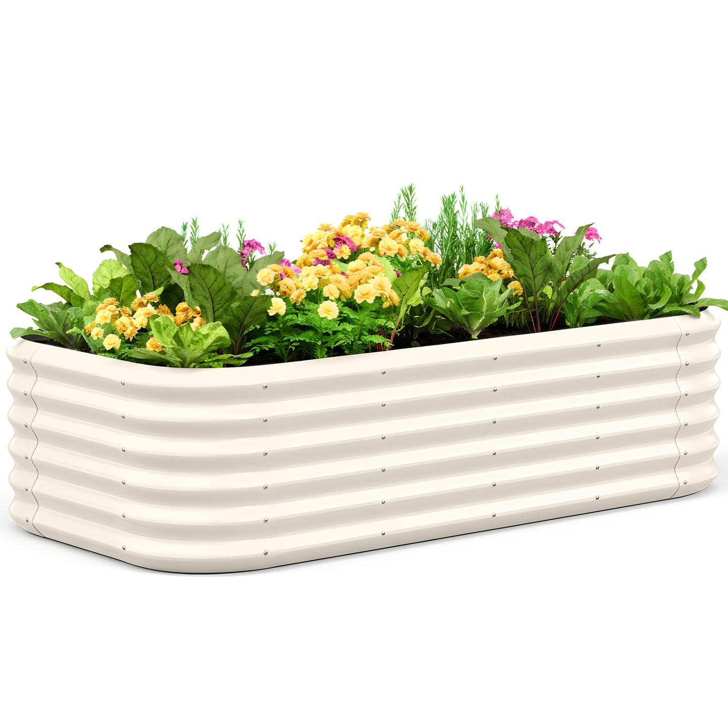 Quictent Galvanized Raised Garden Bed Kit Tall, 6x3x1.5 ft Oval Large Planting Box Strengthened by Crossbar, for Vegetables Outdoor, Beige