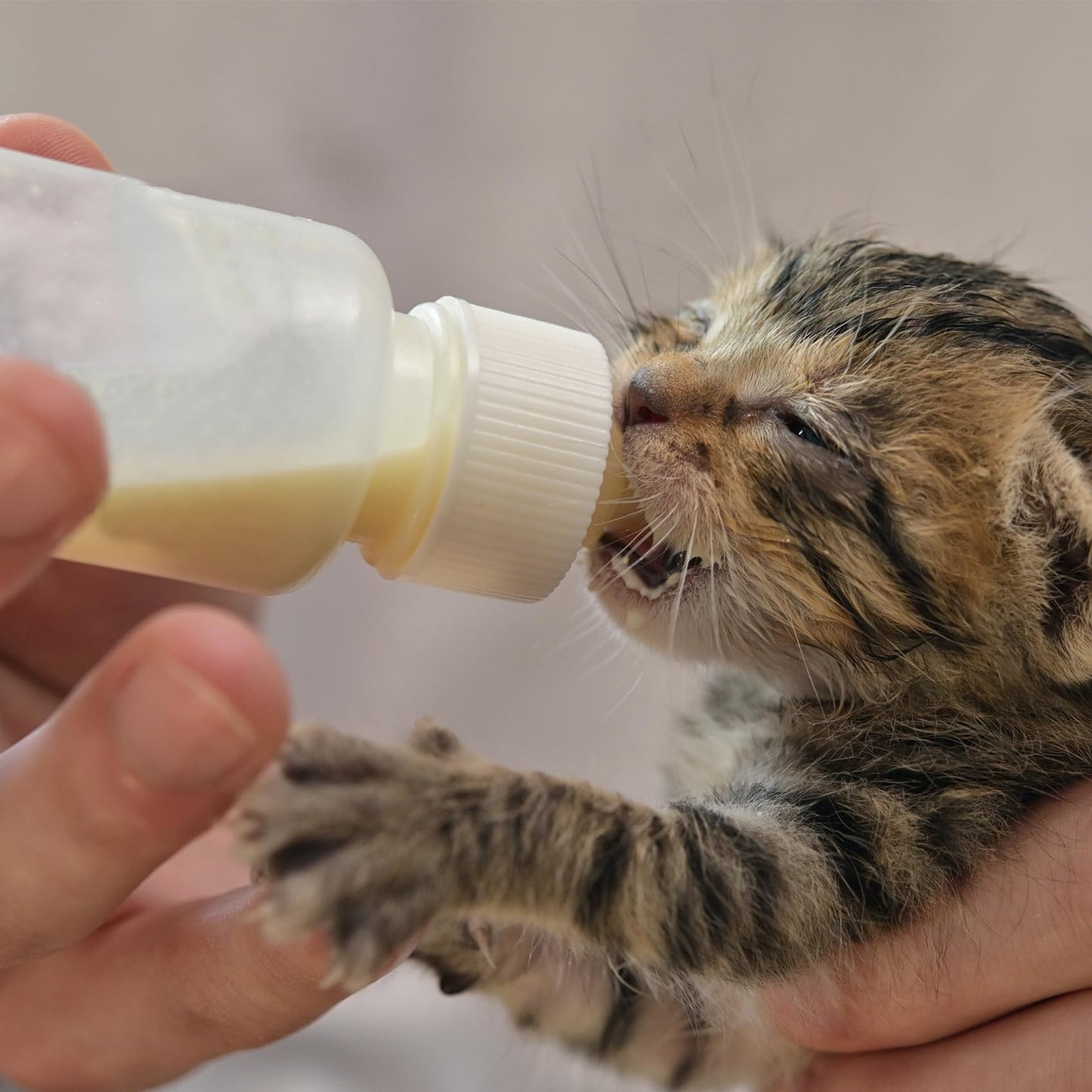 Aidiyapet Kitten Bottles, Pet Feeding Syringe Nipple Bottles, Puppy Kitten Whelping Kit, for Puppy Squirrels Rabbit and Other Newborn Pets (18Pack)
