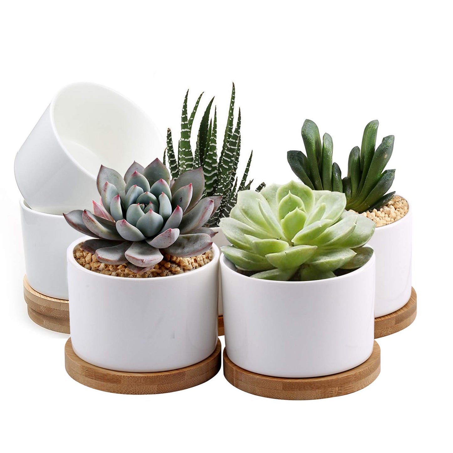 ZOUTOG Succulent Pots, White Mini 3.15 inch Ceramic Flower Planter Pot with Bamboo Tray, 6 inch Ceramic Planters for Indoor Plants, Plants Not Included