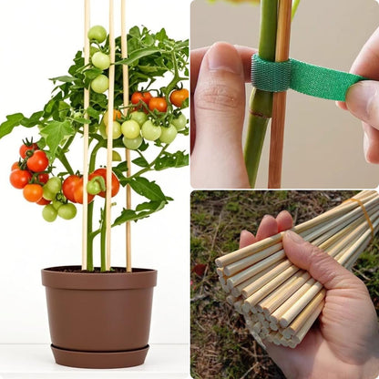 VESYMAN 100 PCS 3FT Bamboo Plant Stakes, 6.3mm Thick – 36 Inch Bamboo Sticks for Indoor & Outdoor Plants – Garden Plant Support Stakes for Tomato, Beans, Climbing Plants & More