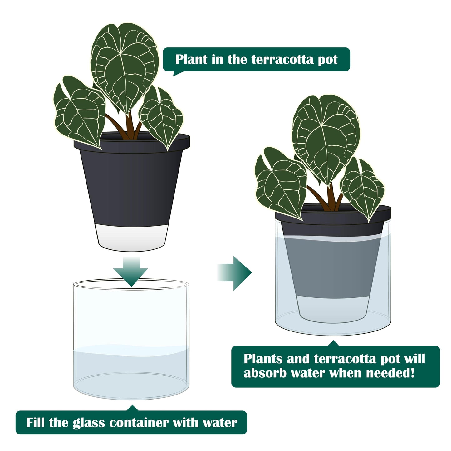 D'vine Dev 6 Inch Design Self Watering Planter for Indoor Plants, Black Terracotta Pot with Cylinder Glass Cup, Set of 2, 37-Y-B-3