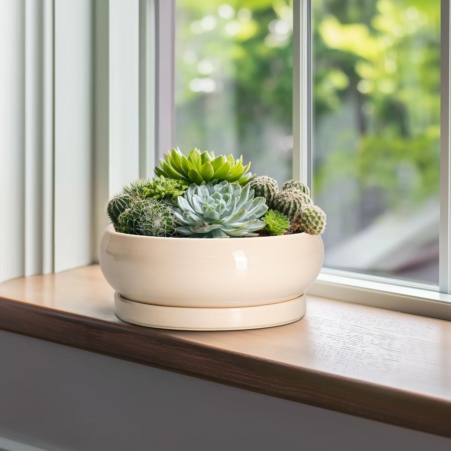 EPFamily Bonsai Pots - 10 Inch Ceramic Succulent Planters Indoor Outdoor, Bonsai Planters with Drainage Hole and Saucer, Round Shallow Planter, Bowl Planter, House Decor, Gifts for Plant Lover, Beige