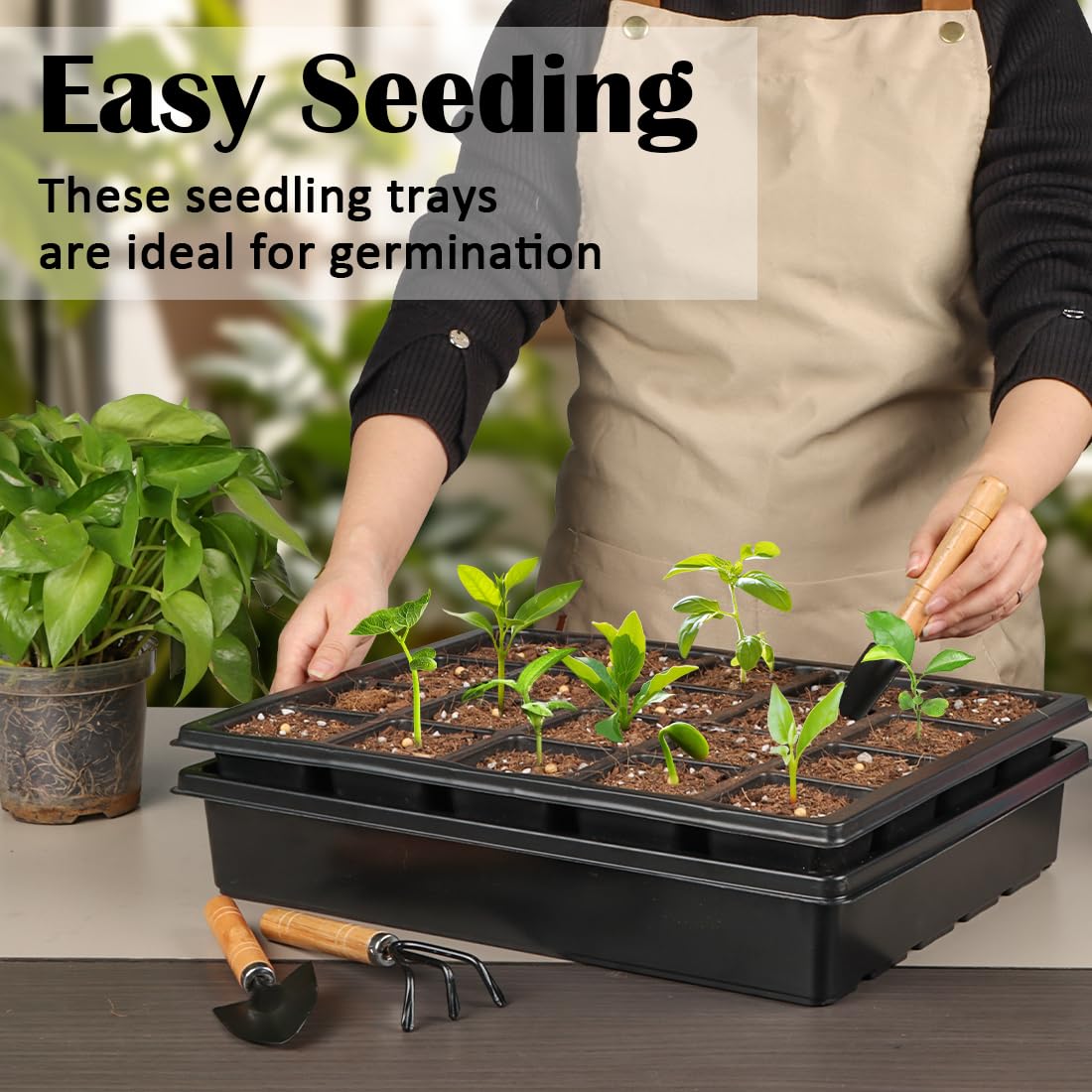 RooTrimmer 2.5 inch Square Pots 3.5 inch Deep 20 Cell Seedling Trays with Water Collection Nursery Trays (15"x11"x3") for Seeds Starting and Transplanting(5 Sets)