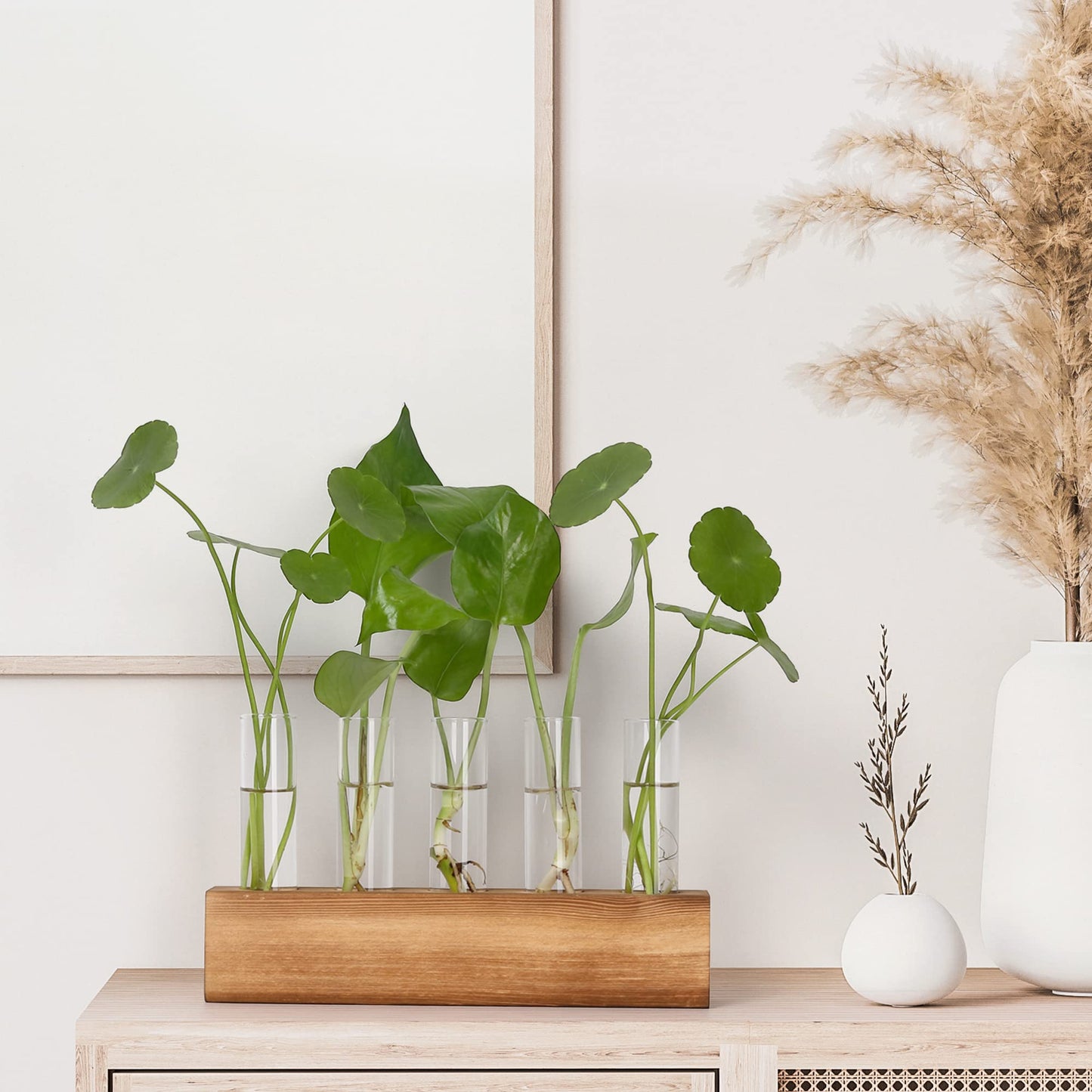 YIBOT Propagation Stations, Plant Terrarium with Wooden Stand, 5 Glass Test Tubes Vases, Birthday Gardening Gifts for Women Mom Plant Lovers, Home Office Desk Decor