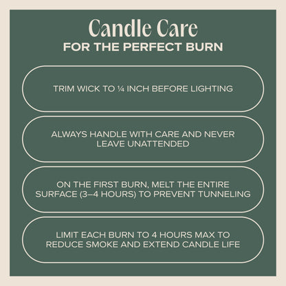 Companion Candles Snuggle Season Pet-Friendly Scented Candle – Balsam, Tonka Bean & Evergreen Fragrance - Coconut Soy Wax Candle with Wooden Wick, Approx. 50-Hour Burn Time, Made in USA, 11.8 oz