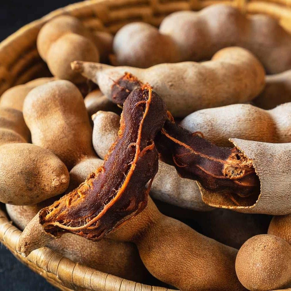 Live Plant - Sour Tamarind (tamarindus Indica) Live Fruit Tree 1-2 feet Tall