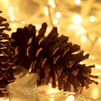 HISHINY Christmas Lights 100 Count Mini Clear Lights 21ft White Wire Christmas Tree String Lights Set for Outdoor Indoor Christmas Decorations Wedding Valentines Day Decor,UL Certified (21feet)