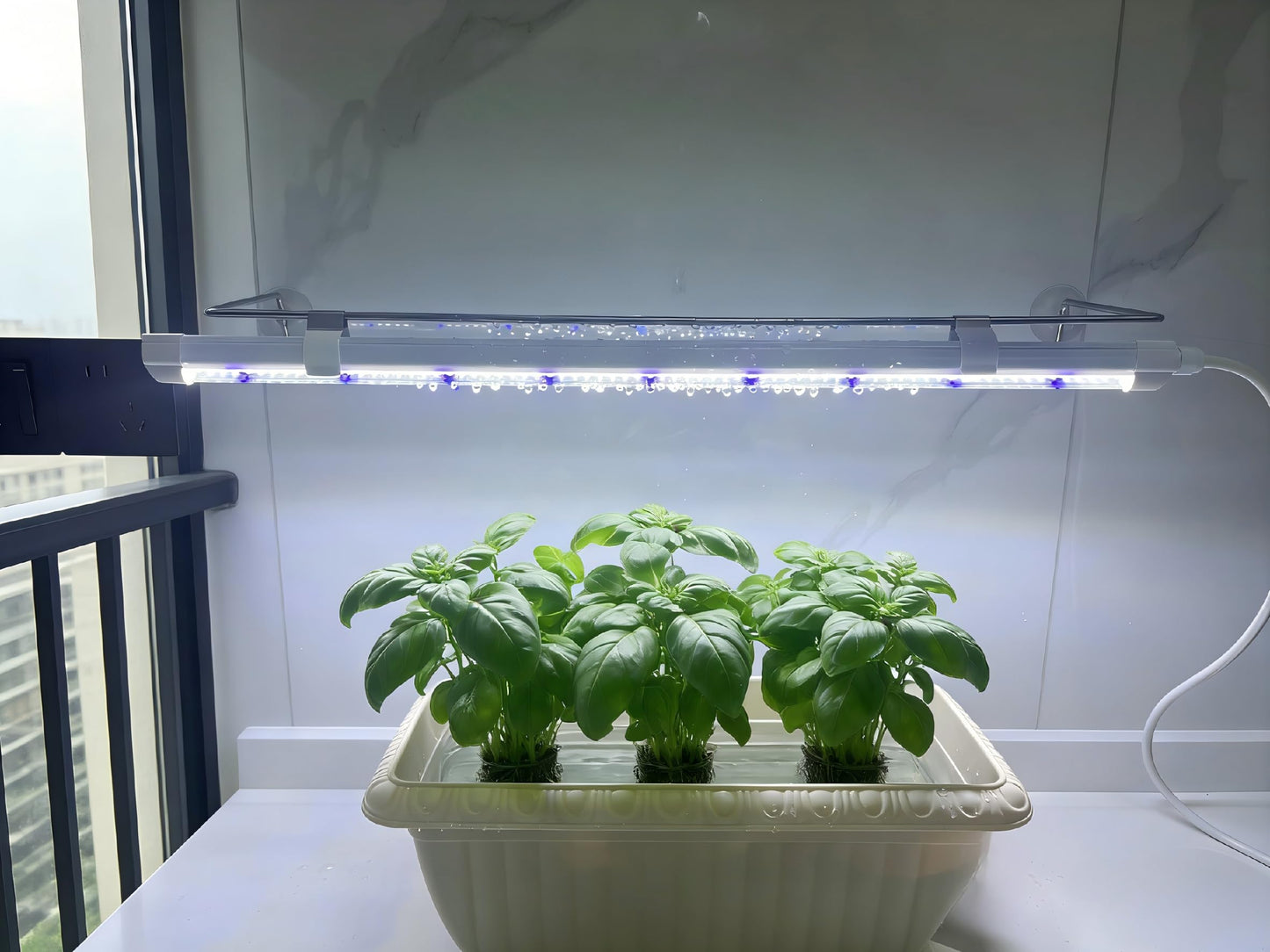 PROTOPIA 2FT Suction Cup Style Plant Grow Light,12W, LED Grow Lamp Fixture on Wall, Seed Starter kit, 6500K Cool White, Enhanced Blue Light, Height Adjustable, Herbs Growing lamp, IP54