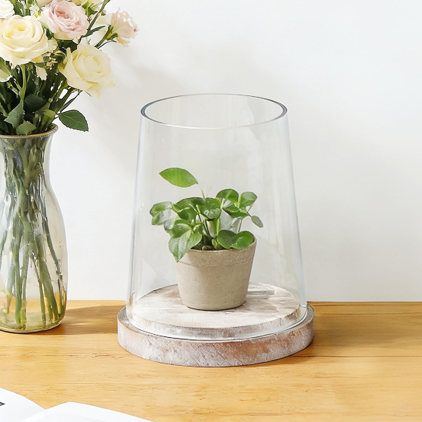 6" Wide Glass Hurricane Candle Holders with Handmade Sturdy Glass Sleeves and Distressed Brown Wood Base for Pillar Candle & Plants, Industrial, Farmhouse, Display Cloche Bell Jars, Table Centerpiece
