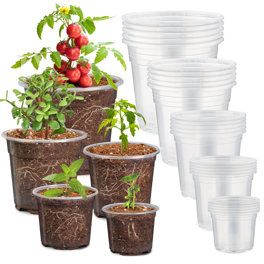 30 Pack 7/6/5/4/3 Inch Clear Nursery Pots for Plants, Flexible Plastic Plant Pots with Drainage Holes, Transparent Seed Starter Pots Variety Pack for Succulents, Seedlings, Flowers, Vegetable