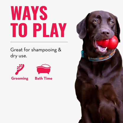 KONG - ZoomGroom Red - Dog Brush for Grooming and Shampooing - For Large Dogs