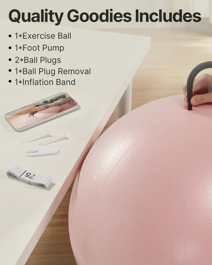 YOTTOY Anti-Burst Exercise Ball for Working Out, Yoga & Pregnancy, Extra Thick Workout Ball for Physical Therapy & Fitness