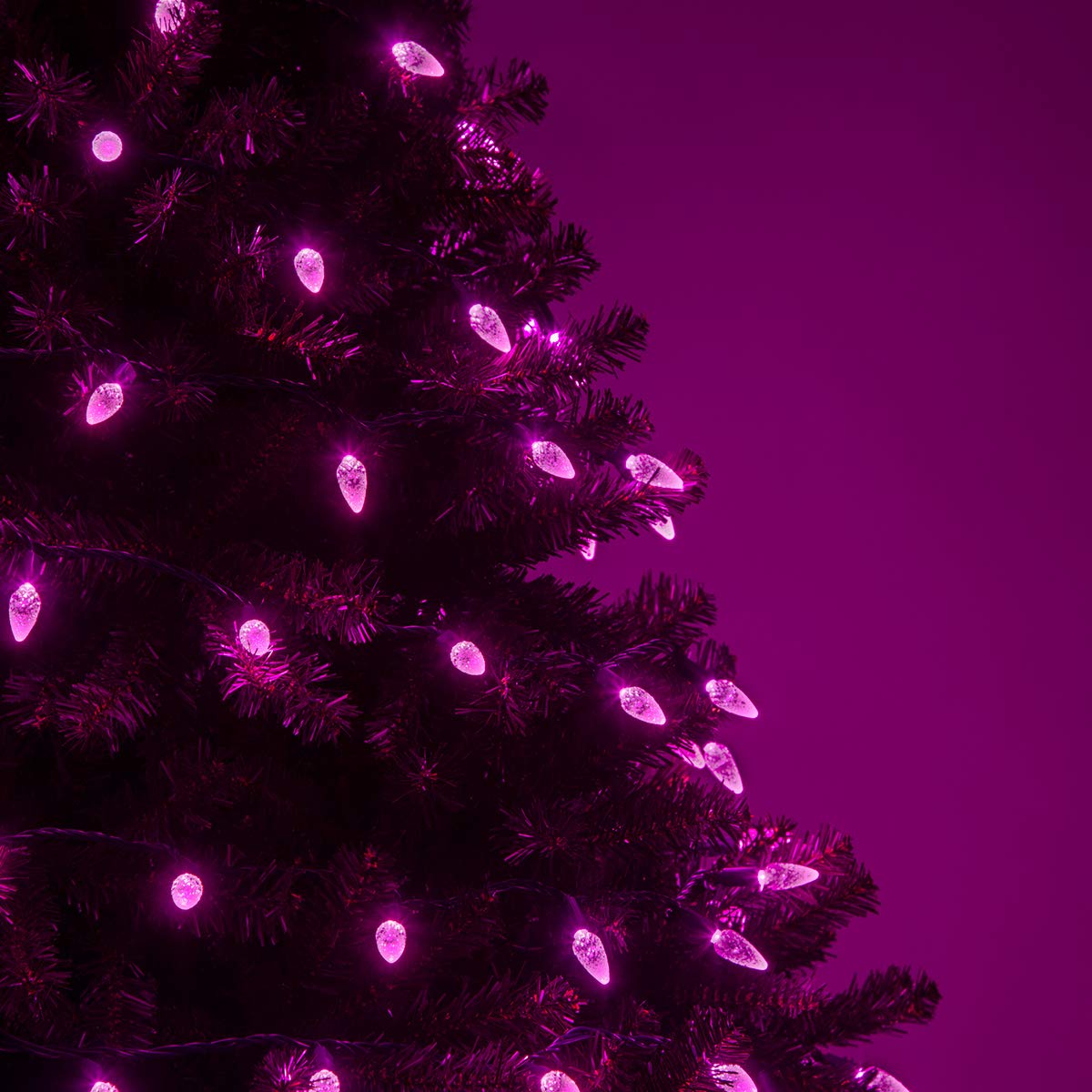 70 Pink C6 LED Christmas Lights, 24 ft Indoor/Outdoor Commercial Grade String on Green Wire, Perfect for Valentine’s Day Lighting