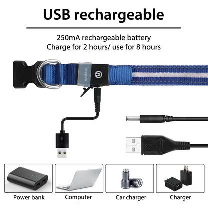MASBRILL Luminous Dog Collar, LED Rechargeable and Waterproof Dog Collar, 3 Glowing Modes and Adjustable Size Suitable for Small Large Dogs (Blue, M)