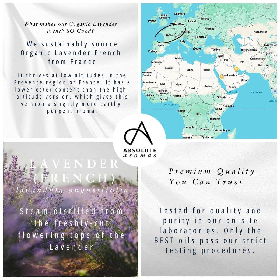 Absolute Aromas Organic Lavender Essential Oil 10ml - 100% Pure, Natural, Vegan, Undiluted and Cruelty-Free - for use in Diffusers, Oil Burners and Aromatherapy Blends