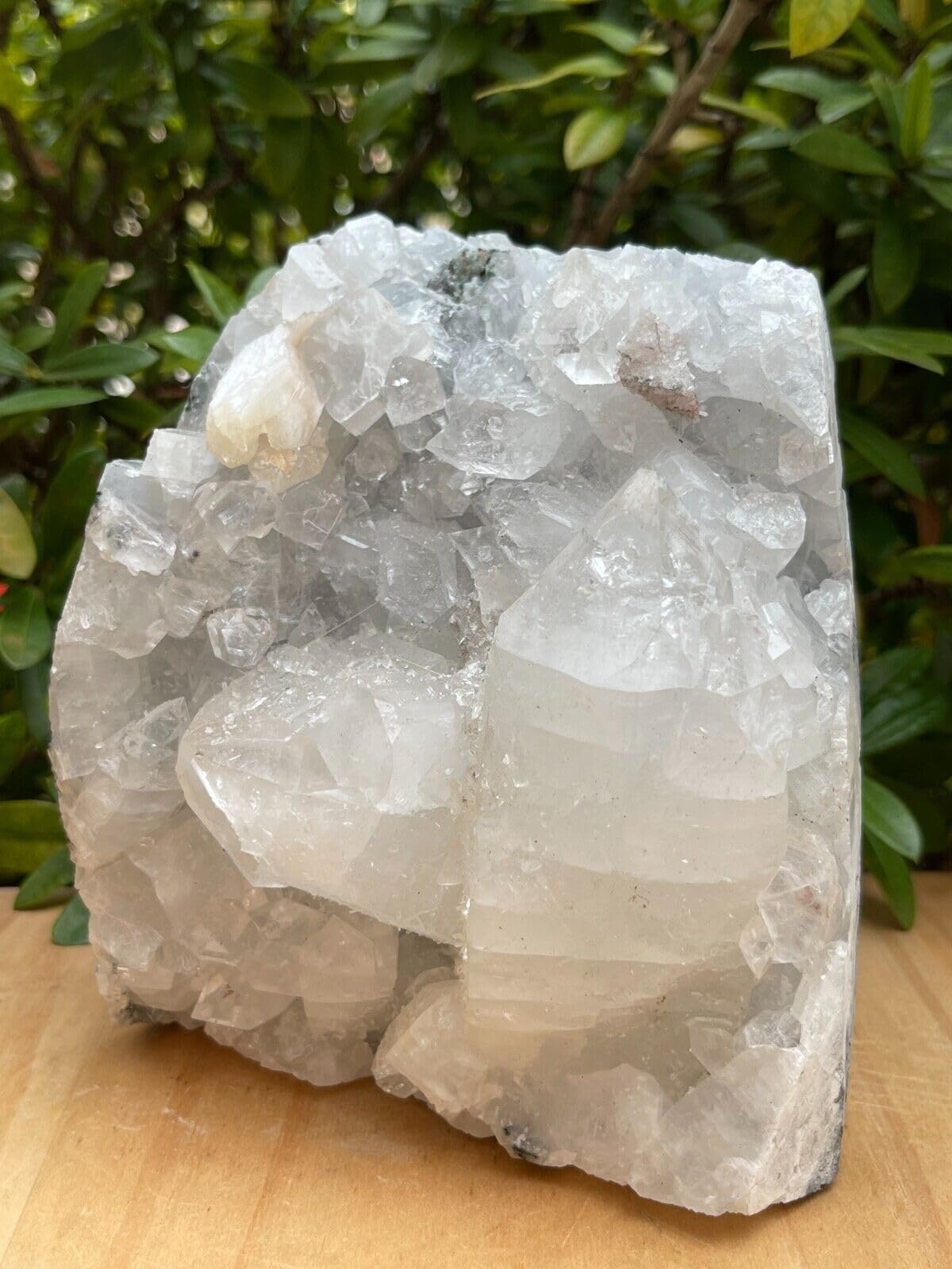 GAF TREASURES Apophyllite Cluster Geode Free Standing | Natural Apophyllite Crystal Display Piece | 0.5–9 lbs | Healing, Decor & Collectible Mineral