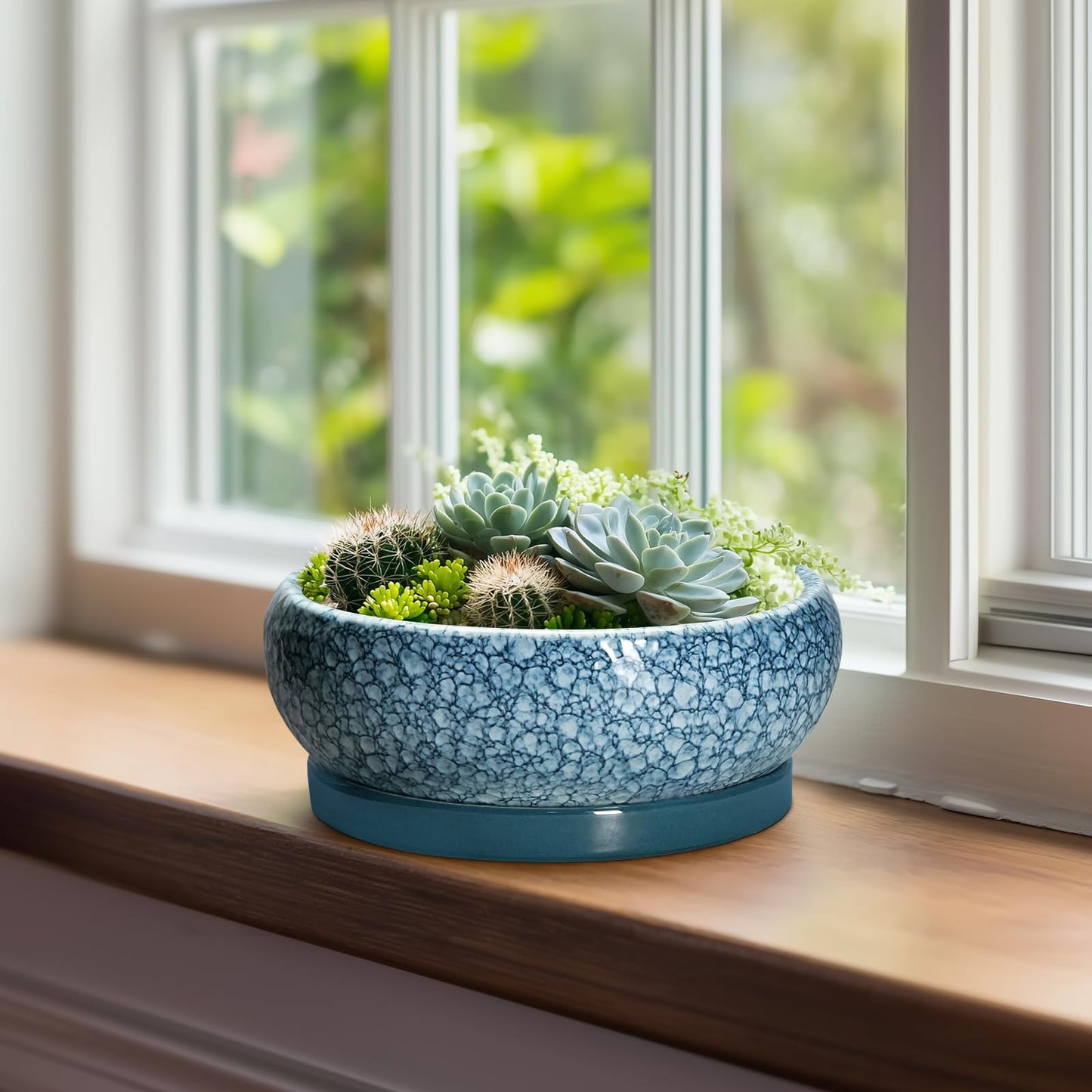 EPFamily Ceramic Bonsai Pots - 8 Inch Succulent Planters Indoor Outdoor, Bonsai Planters with Drainage Hole and Saucer, Shallow Planter, Round Planter Bowl, Home Decor, Gifts for Plant Lovers, Blue