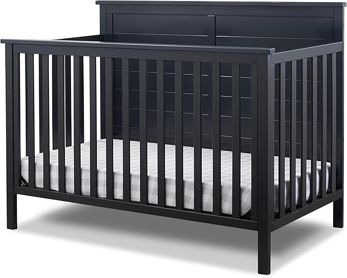 Sorelle Furniture Ashley Crib, Classic 4-in-1 Convertible Pannel Crib, Baby
