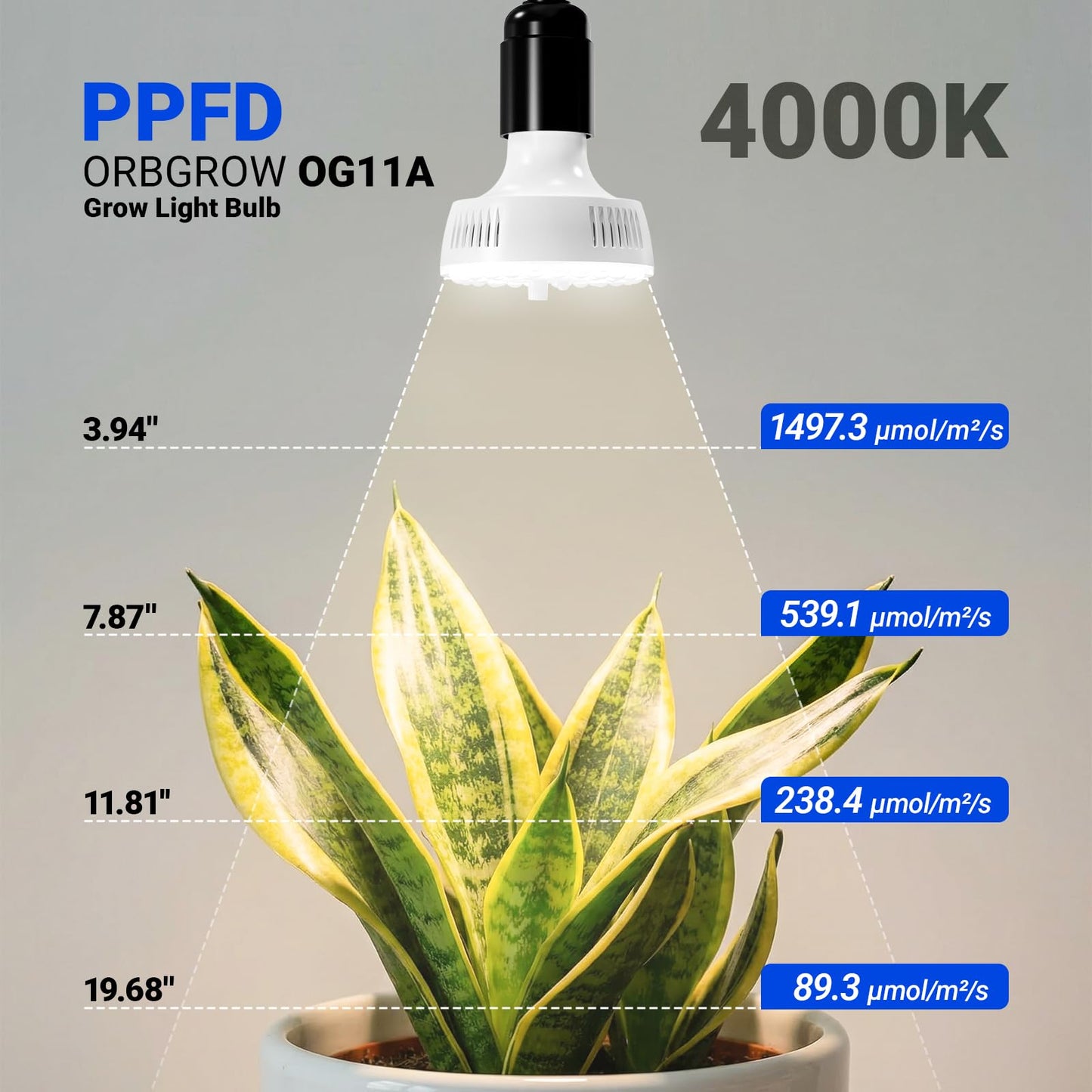 Barrina Orbgrow OG11A3 Clip On Grow Lights for Indoor Plants, Integrated Stepless Dimming & Timing, 4000K 33W(3 x 11W, 300 Watt Equiv), Full Spectrum 3-Gooseneck with E26 Plant Light Bulbs