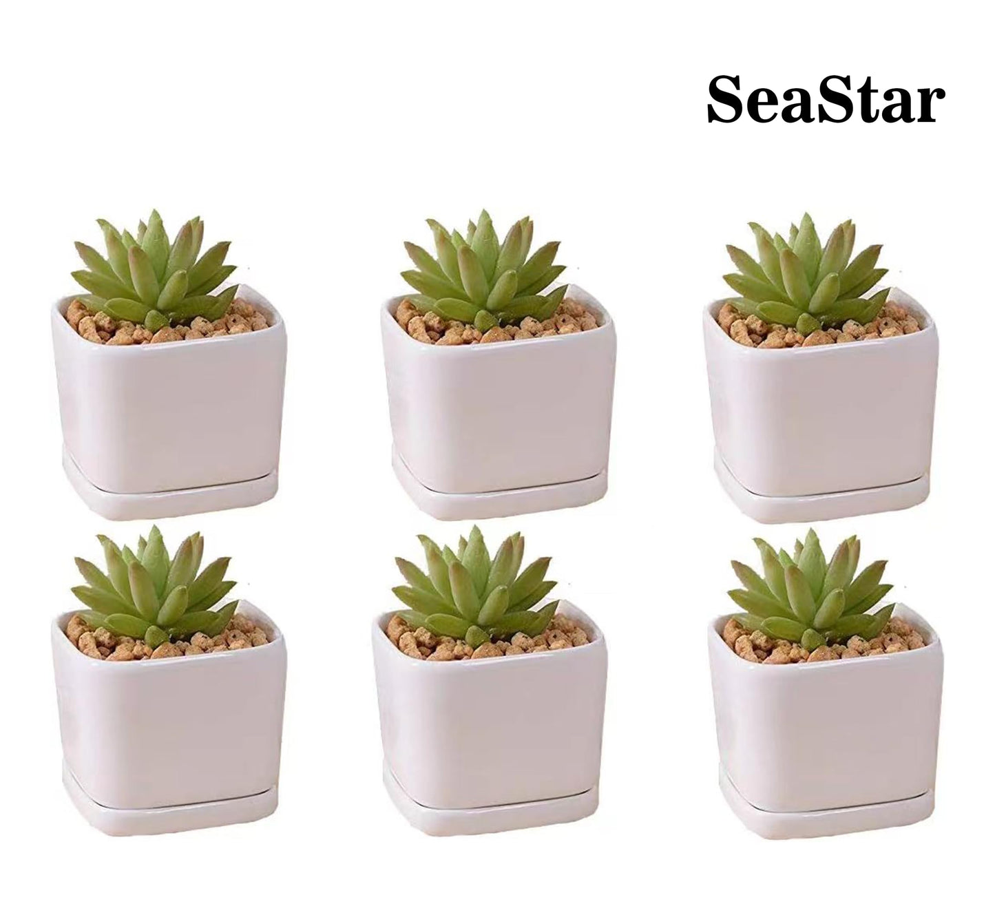 SeaStar Ceramic Succulent Mini Planter Pot,Mini 6 Set 2x1.65x2inch Square Modern Minimalist White/Window Box with Saucer for Office,Desk,House Balcony Landscape