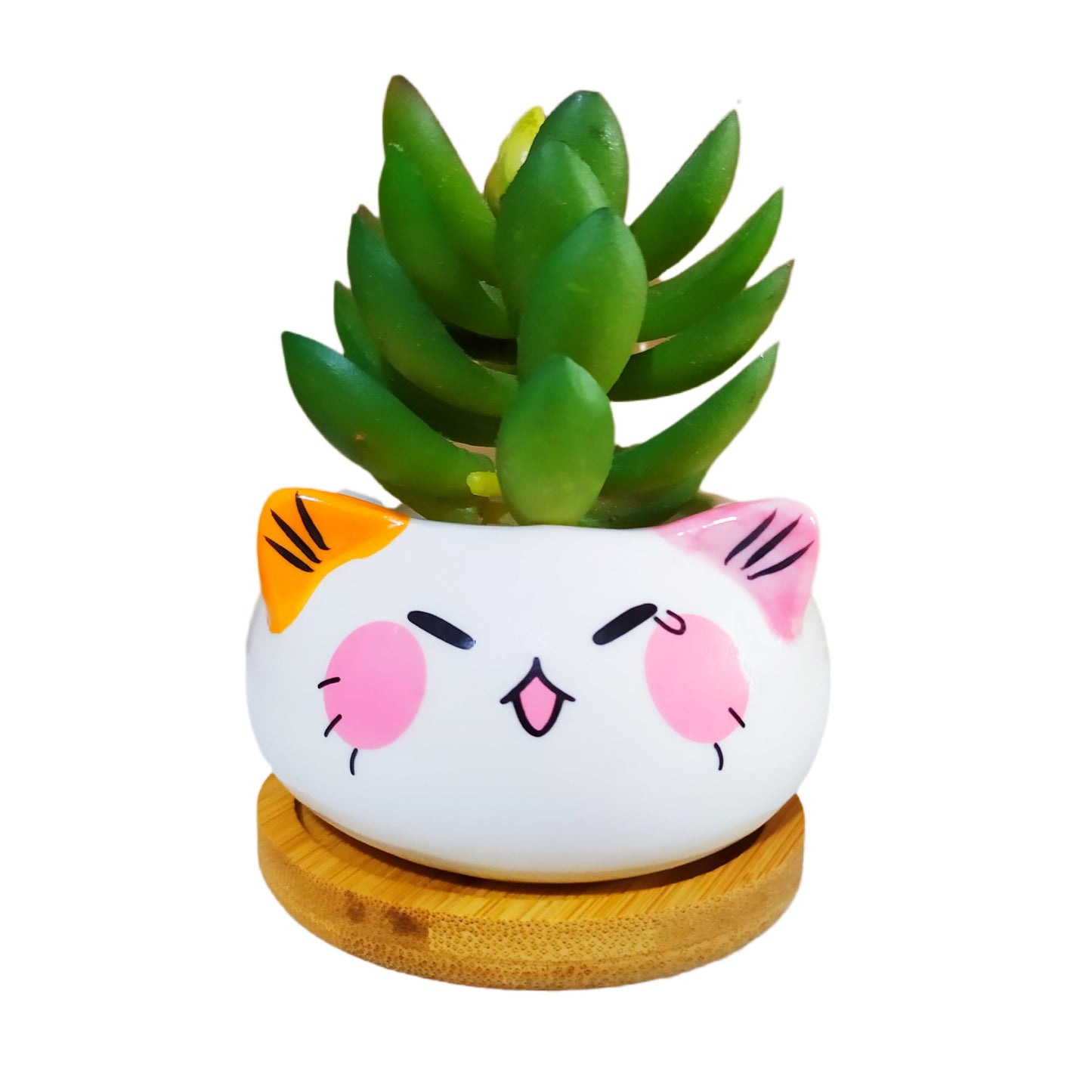 Cuteforyou Cute 3.5 Inches Indoor Cartoon Animal Cat Shaped Ceramic Succulent Cactus Flower Plant Pots with Bamboo Tray-Plant Not Included (6 Corlors)