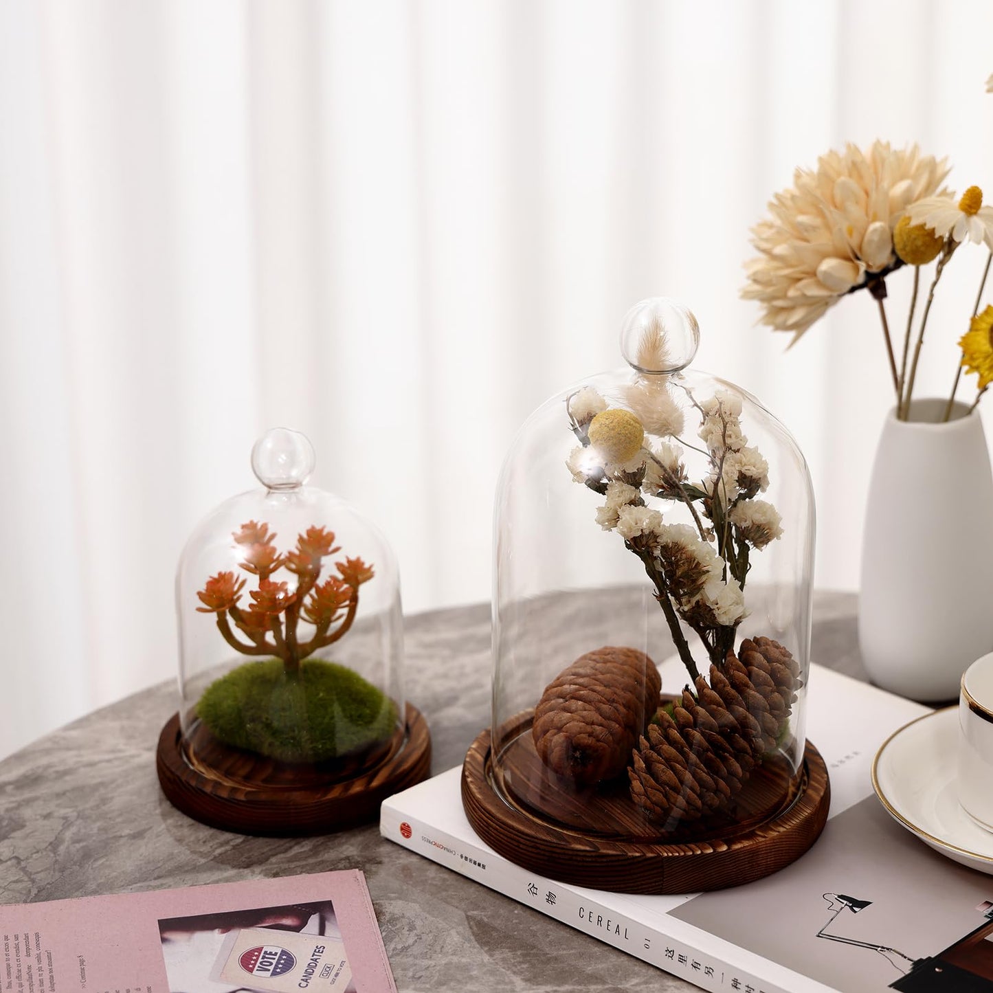REFSAVER Glass Dome with Base,Glass Cloche Bell Jar,Display Case with Wooden Base for Plants,Collectibles (3.5 * 4.3 inches)