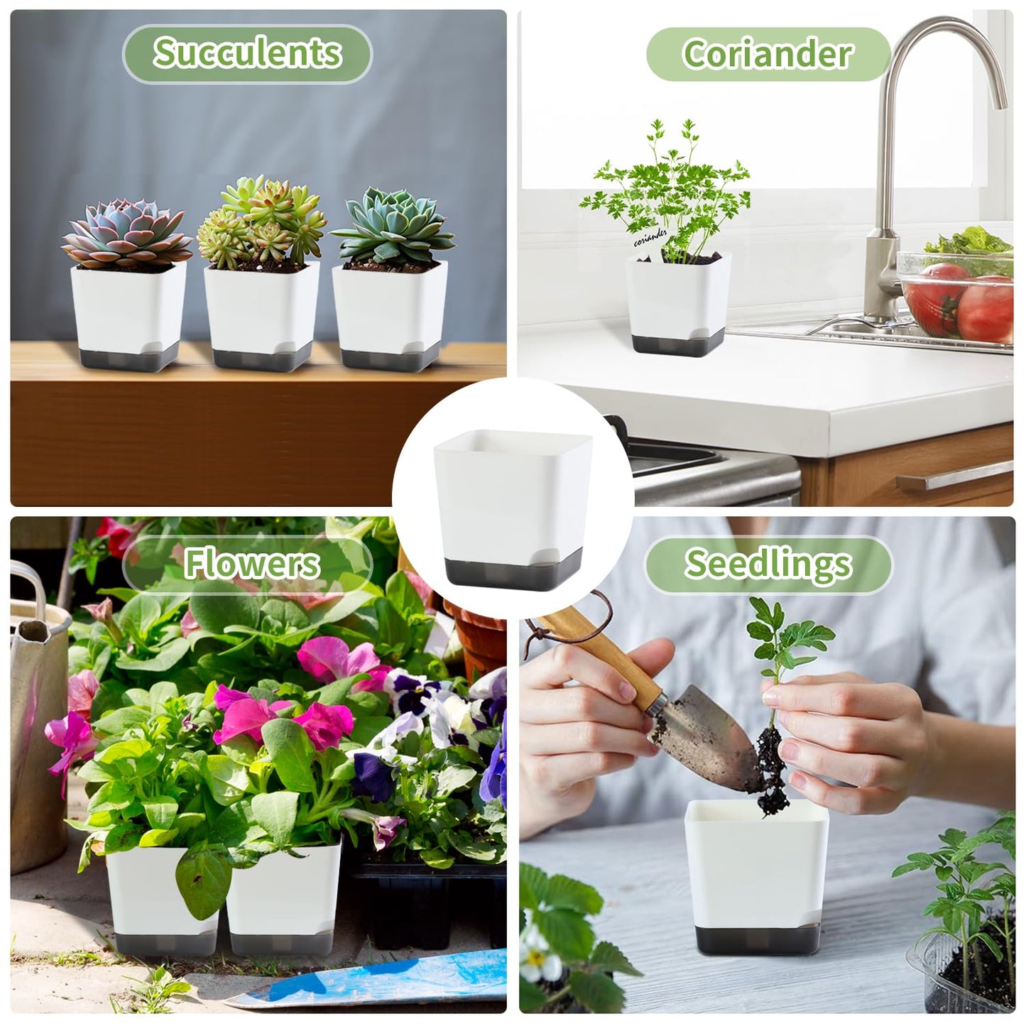 Oliz 3 inch Small Nursery Pots, Seedling Pots, 20 Pack Plastic Plant Pots for Indoor Outdoor Plants, Decorative White Succulent Flower Pots with Drainage Holes and Saucers
