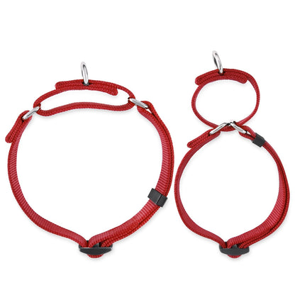 Hyhug Durable Nylon Anti - Escape Martingale Dog Collar for Puppy Boy and Girl Dogs - Walking Training Daily Use. (Small, Red)