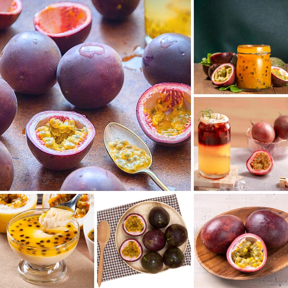 Purple Passion Fruit Live Plant, Passion Fruit Plant Live, Cold Hardy, 1-2 Feet in Height, 1 Gallon Pot for Outdoor Gardening