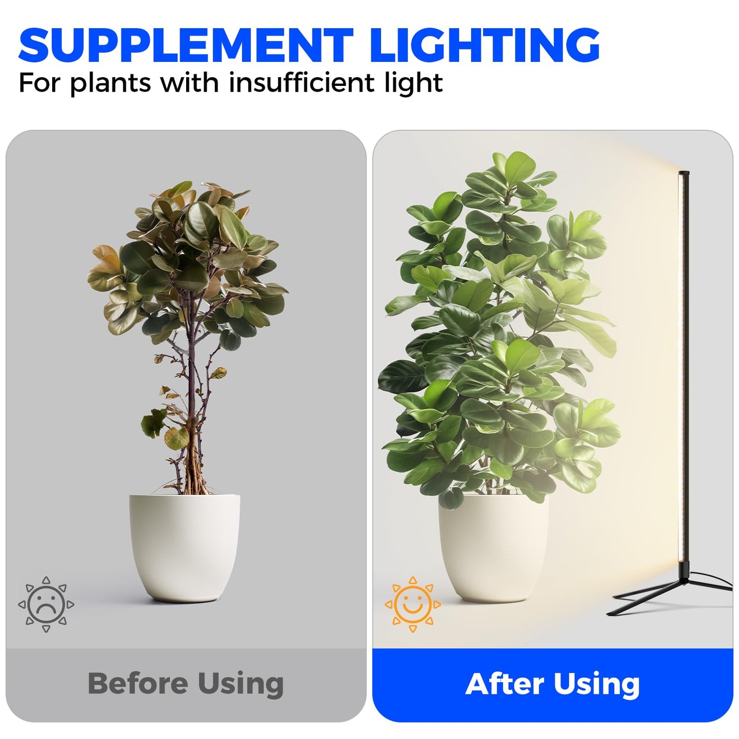 Barrina Grow Lights for Indoor Plants with Stand, 42W 169 LEDs Full Spectrum Wide Illumination Area, T10 Vertical Standing Plant Grow Light, 4FT Height with On/Off Switch and Tripod Floor Stand
