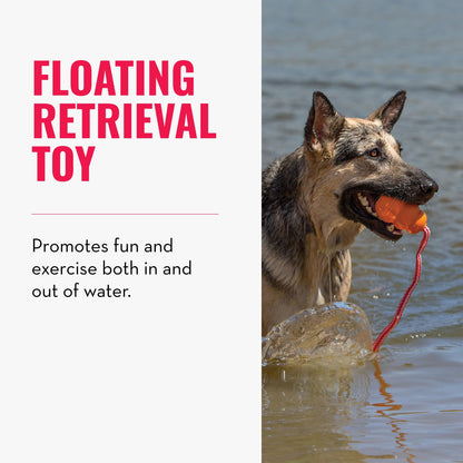 KONG Aqua Floating Fetch Toy - For Water Retrieval, Play & Exercise - With Foam Interior & Rope for Throwing - For Large Dogs, Orange
