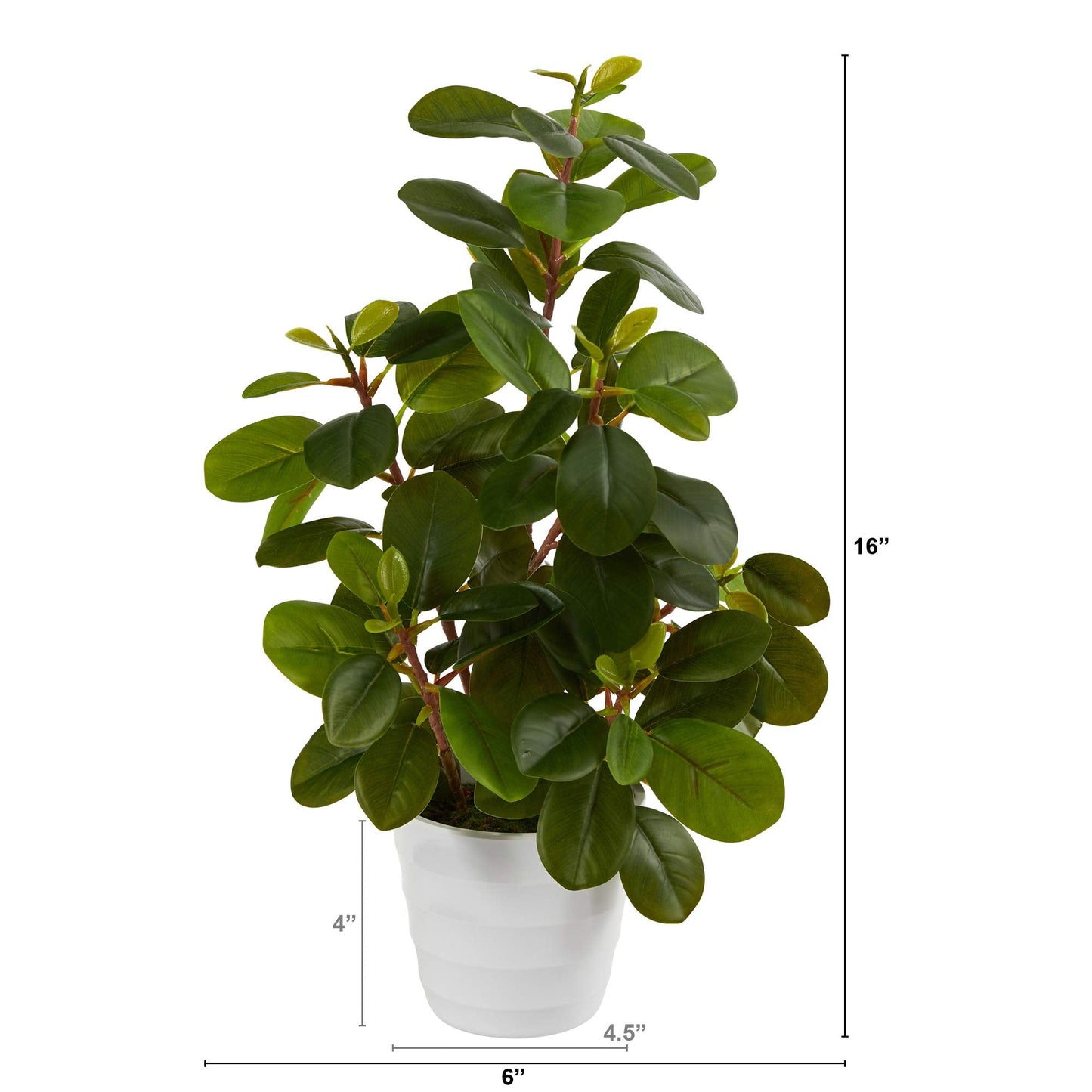 Nearly Natural 16in. Peperomia Artificial Plant in Decorative Planter