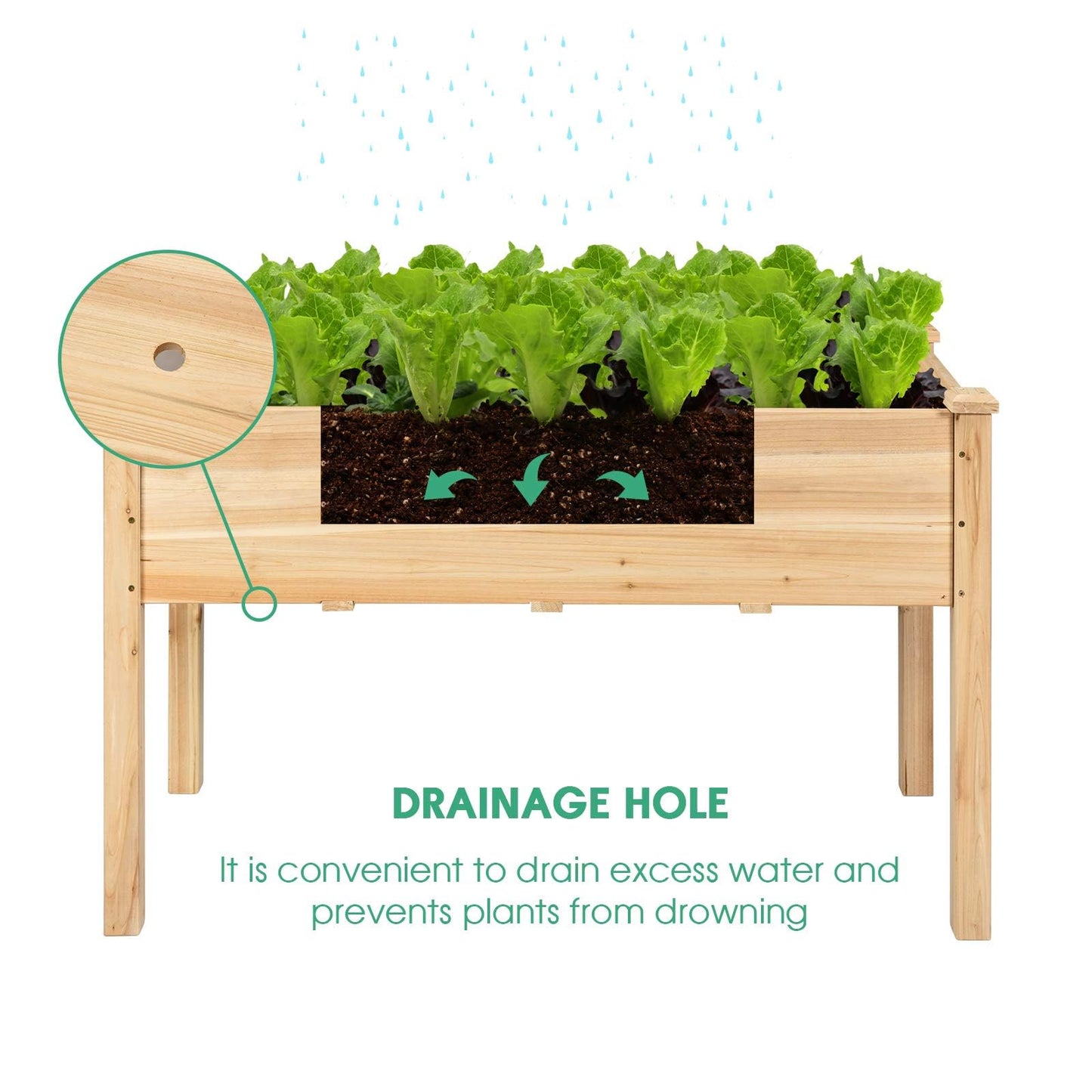Toolsempire Raised Garden Bed with Greenhouse Cover, Elevated Wooden Planter Box Outdoor Gardening Planting Bed for Vegetables Flowers & Herbs Grow Backyard Patio Lawn (White+Natural)