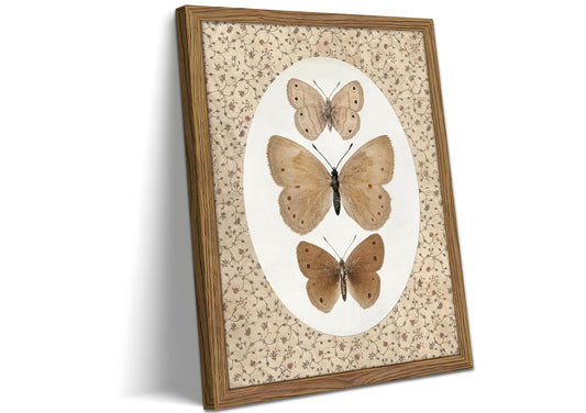 Vintage Wall Art Framed – Butterfly Pictures Wall Decor, Antique Bathroom Decor, Moody Cottage Core Painting Canvas Prints, Insect Farmhouse Artwork for Bedroom Living Room 12x16 Inch