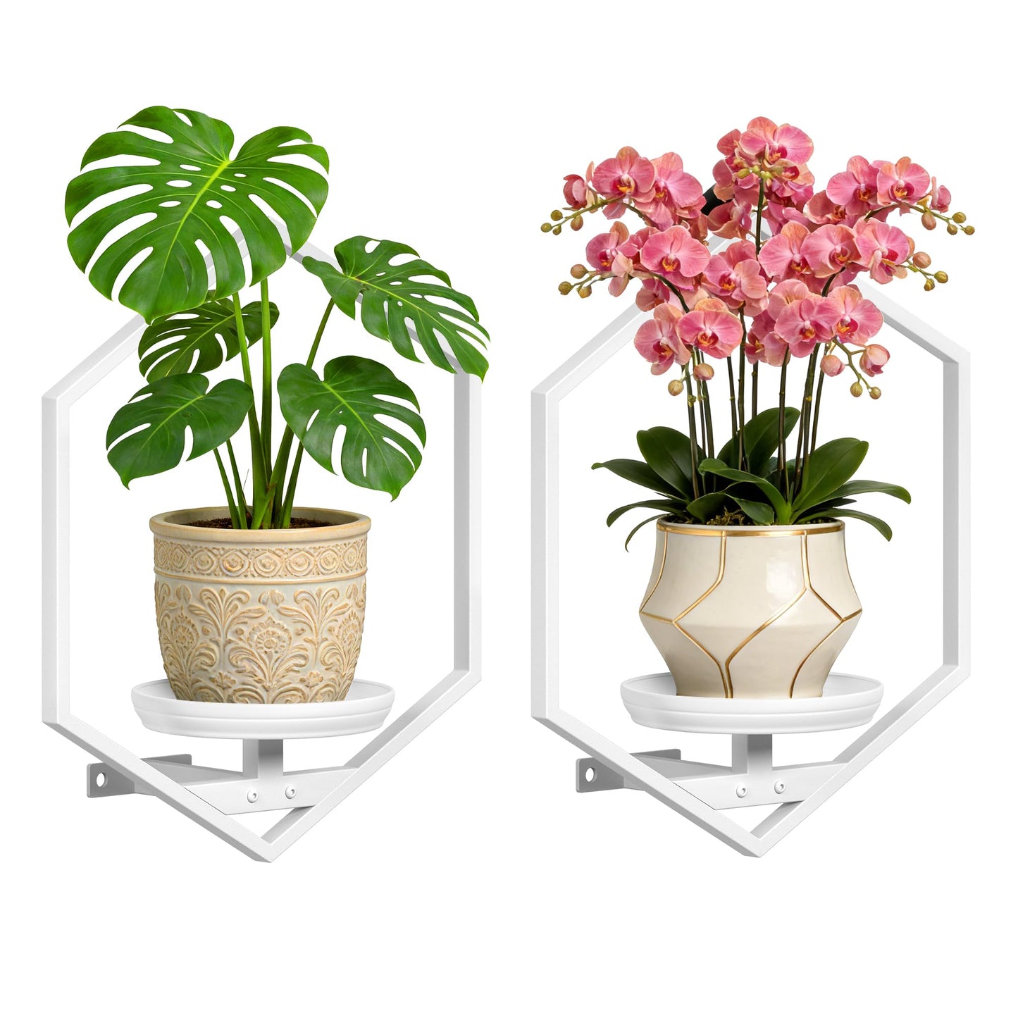 BXF Hexagon Floating Frame Plant Stand - 2 Pack Metal Wall Mounted Planters - Minimalist Geometric Hanging Decor for Indoor Succulents & Air Plants,White