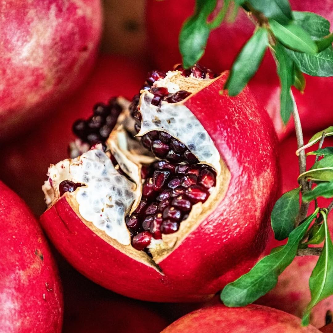 2 Red Pomegranate Trees Live Plants, Well-Rooted, 5-9 Inches Tall, Large Sweet Fruit for Your Garden