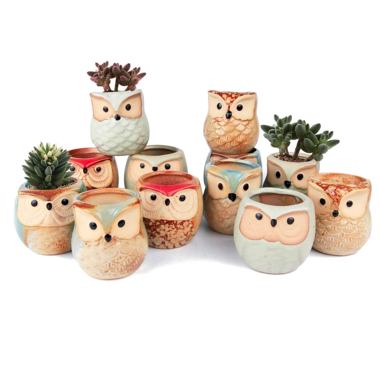 T4U 2.5 Inch Owl Ceramic Succulent Planter Pots with Drainage Hole Set of 12, Mini Cactus Pots Tiny Cute Plant Holder Container Best for Home Office Decor Gardening Gift