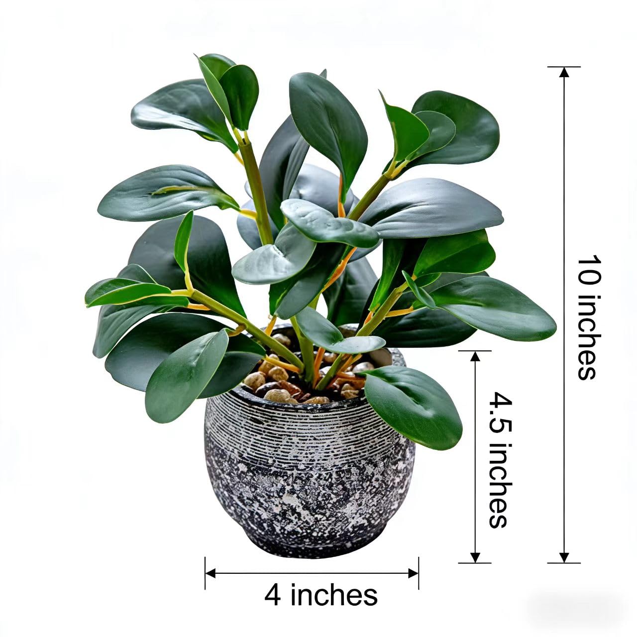 AlphaAcc Artificial Plants Potted Real Looking Small Faux Plant with Rustic Black Cement Planter for Kitchen Office Desk Bookshelf Decor (Ficus Plant)