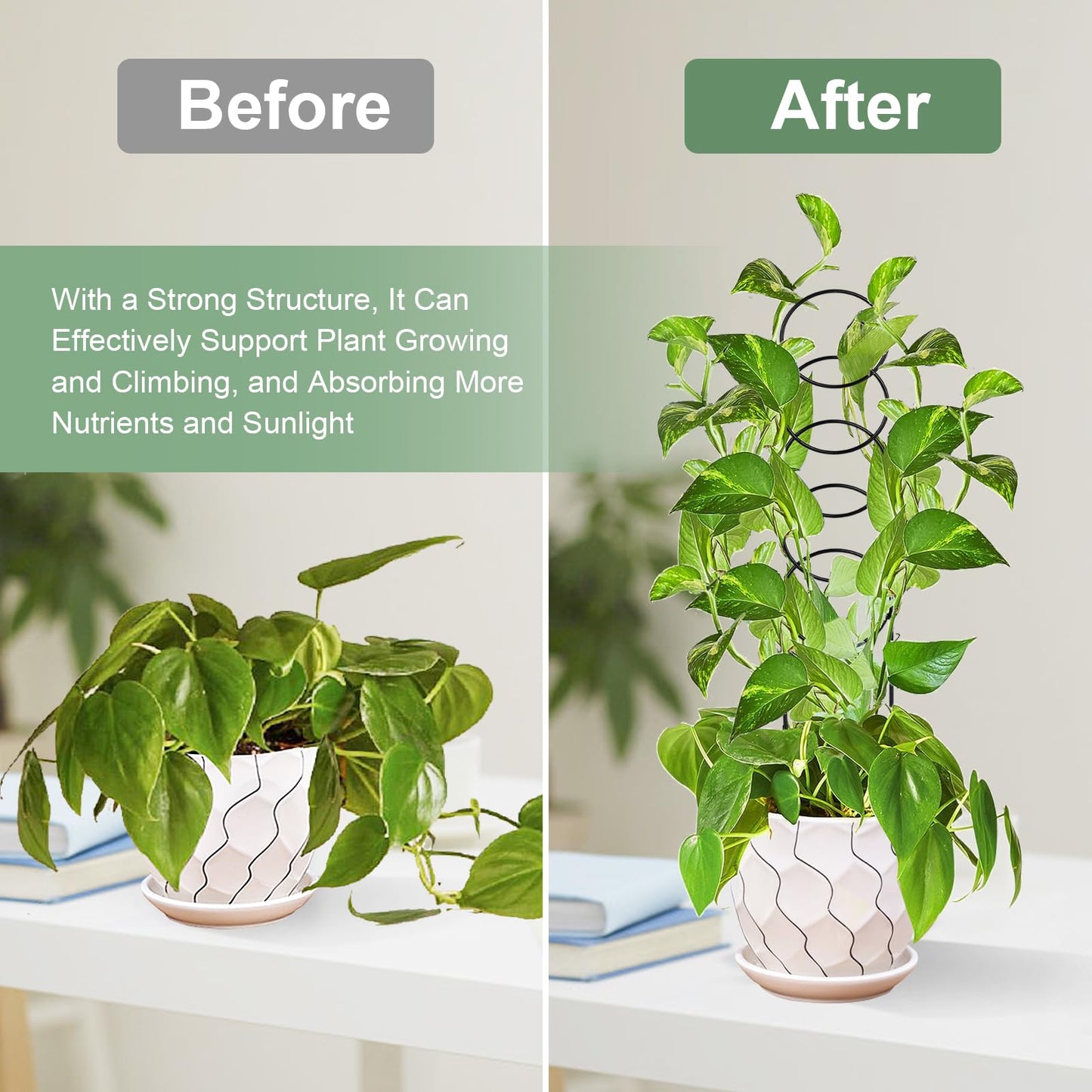 17.5 Inch Plant Trellis Indoor for Climbing Plants,Metal Trellis,Small Garden Trellis for Potted Plants,Plant Stakes for Indoor Plants Accessories Hoya,Flower,Plant Support,Plant Gifts(Circular-Metal)