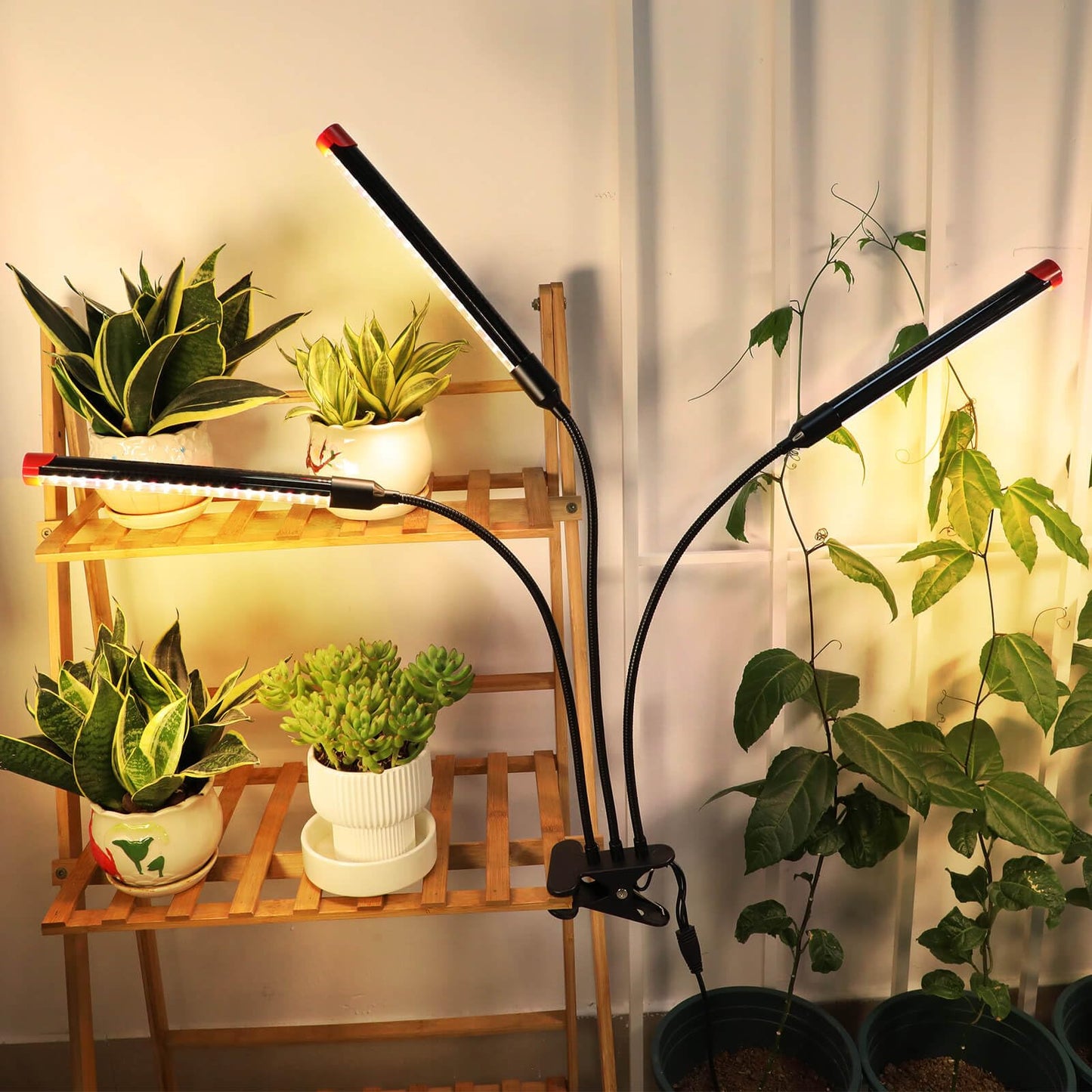 FRGROW Clip Grow Lights for Indoor Plants, Seed Starting, Bonsai, 4/8/12/16/20H Timer, Full Spectrum Plant Growing Lamps, 27 Watt Power Draw, NO Need Adapter, 360° Gooseneck