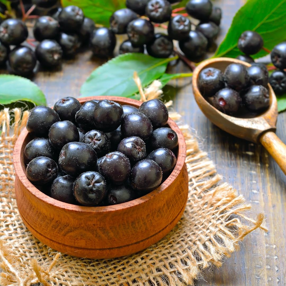 Viking Chokeberry Plant Live, Aronia Plants Shrub Bush, Chokecherry Like, 6 to 12 Inc Plant (Black)