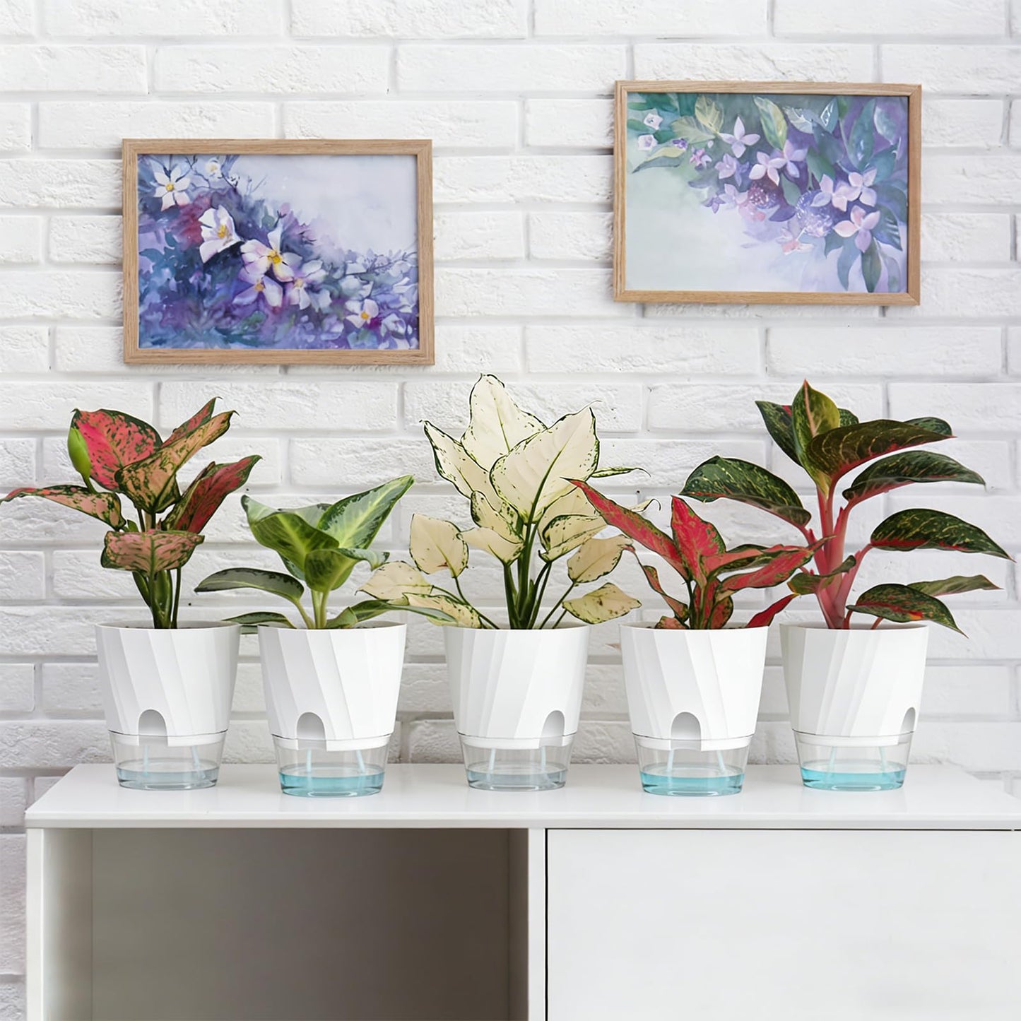 KIMCHOMERSE Self Watering Plant Pots, 6 Inch Plant Pots White, 3 Pack Flowers Pot Indoor Planter Pots with Tray for Spider Plant, Orchid, African Violet